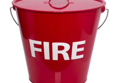 IMG_20250126_11868-1