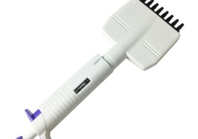 IMG_20250127_32459-1