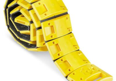 IMG_20250128_35953-1