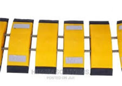 IMG_20250128_38343-2