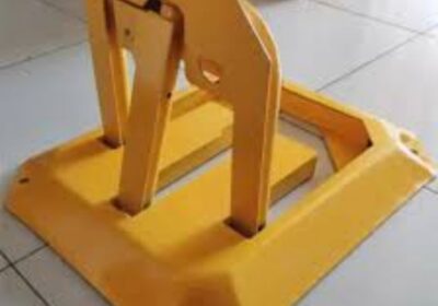 IMG_20250129_29402-3