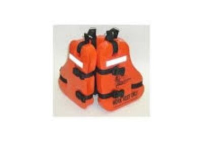 IMG_20250129_31818-1