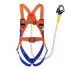 images-2025-01-31T110558.219