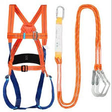 images-2025-01-31T110644.066