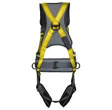 images-2025-01-31T110708.643-1