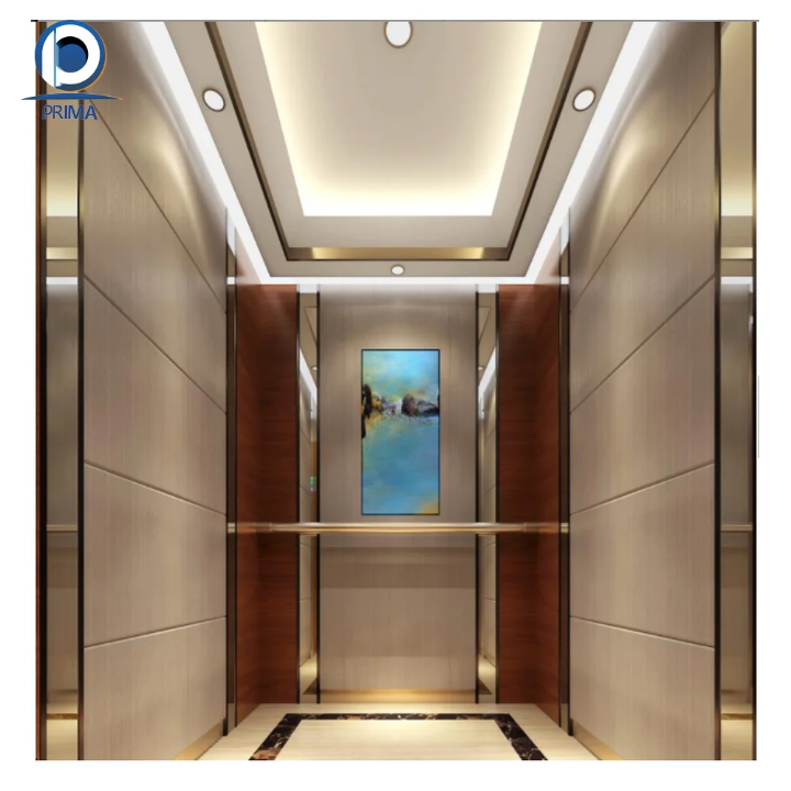 Luxury house elevator by Home Lift Elevator