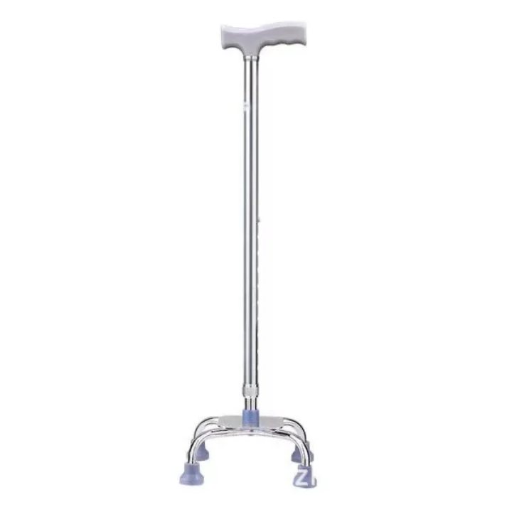 Free-Standing Walking Stick 4 Feet by Scantrik
