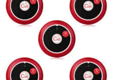 IMG_20250201_19775-1