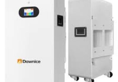 IMG_20250201_24333-1