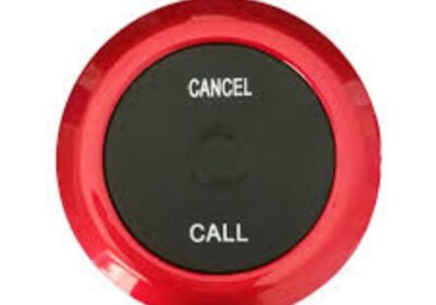 IMG_20250201_26763-1