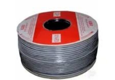 IMG_20250202_53649-1