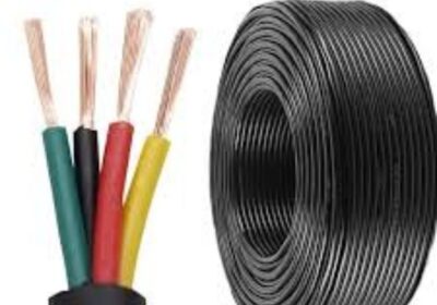 IMG_20250202_54327-2