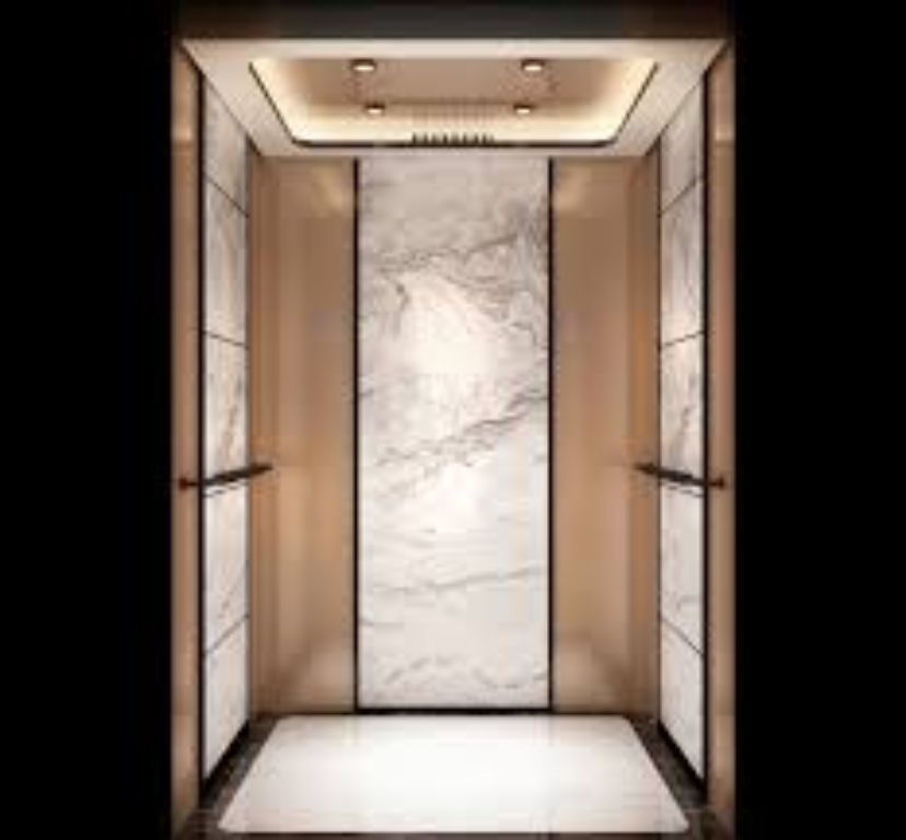 630kg commercial passenger elevator lift system by Home Lift Elevator