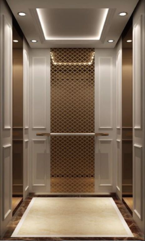 6 stops 630kg passenger lift elevator platform by Home Lift Elevator