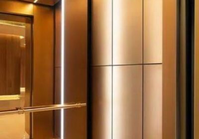 IMG_20250203_30915-1