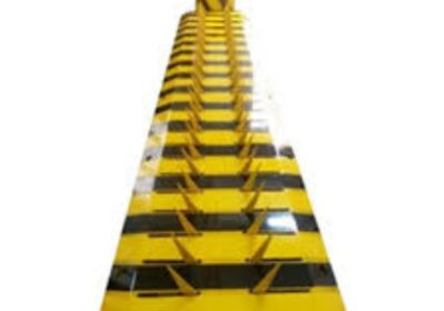 IMG_20250203_31450-1