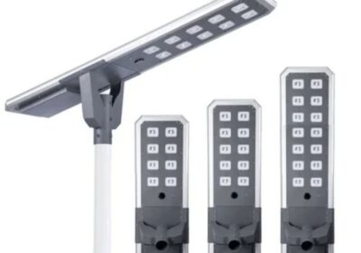 IMG_20250204_27734-2