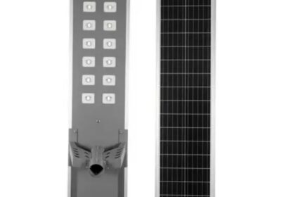 IMG_20250204_29295-2