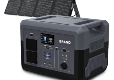 IMG_20250206_10398-2