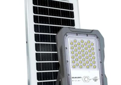 IMG_20250208_52299-1