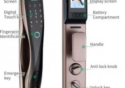 IMG_20250210_10174-1