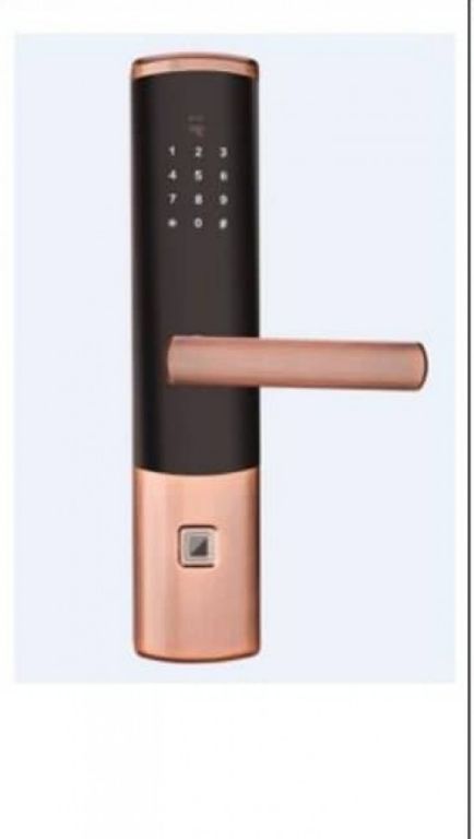 Dual-Access Smart Lock by Hiphen Solutions