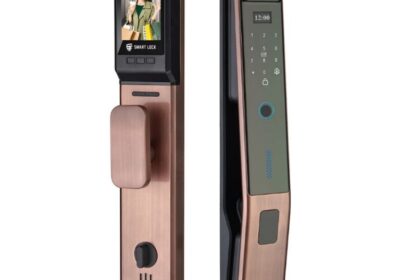 IMG_20250210_11584-1