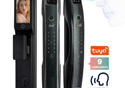 IMG_20250210_18841-2