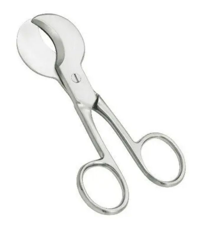 Science and Surgical Scissors for Umbilical Cord by Scantrik