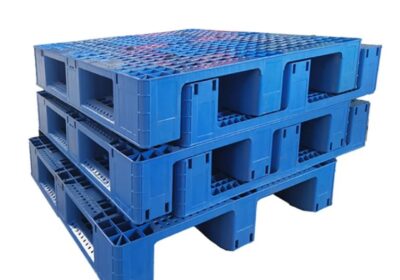 IMG_20250210_35159-1