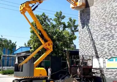 IMG_20250211_31816-5