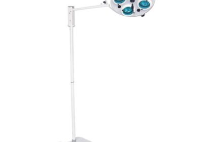 IMG_20250212_28943-1