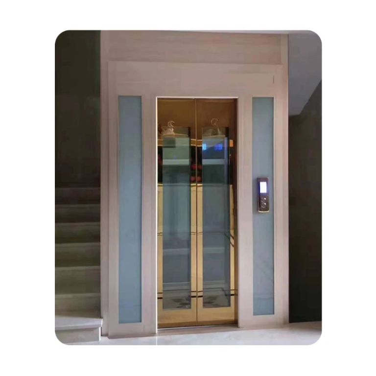 Home Elevator For Private System by Home Lift Elevator