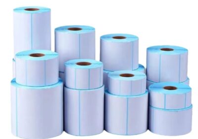 IMG_20250218_10984-1