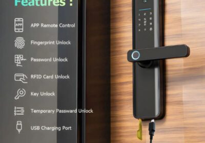 IMG_20250218_14368-1