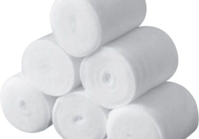 IMG_20250218_50379-1