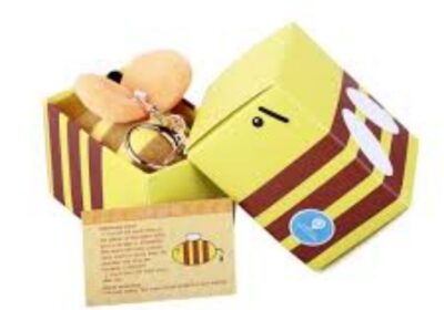 IMG_20250219_35737-1