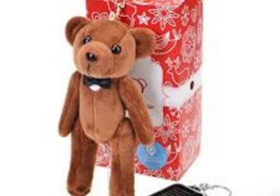 IMG_20250219_41620-1