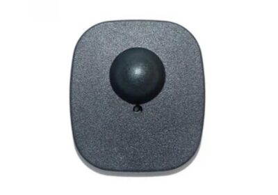 IMG_20250220_10265-1