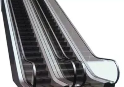 IMG_20250220_31964-1