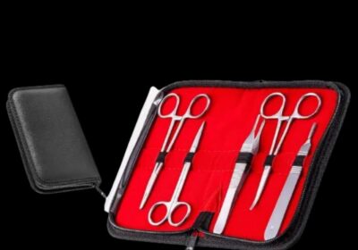 IMG_20250224_27804-1