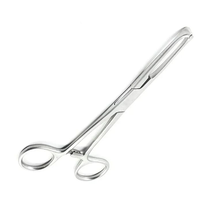 Dental Allis Tissue Forceps 5×6 Teeth, 160mm by Scantrik