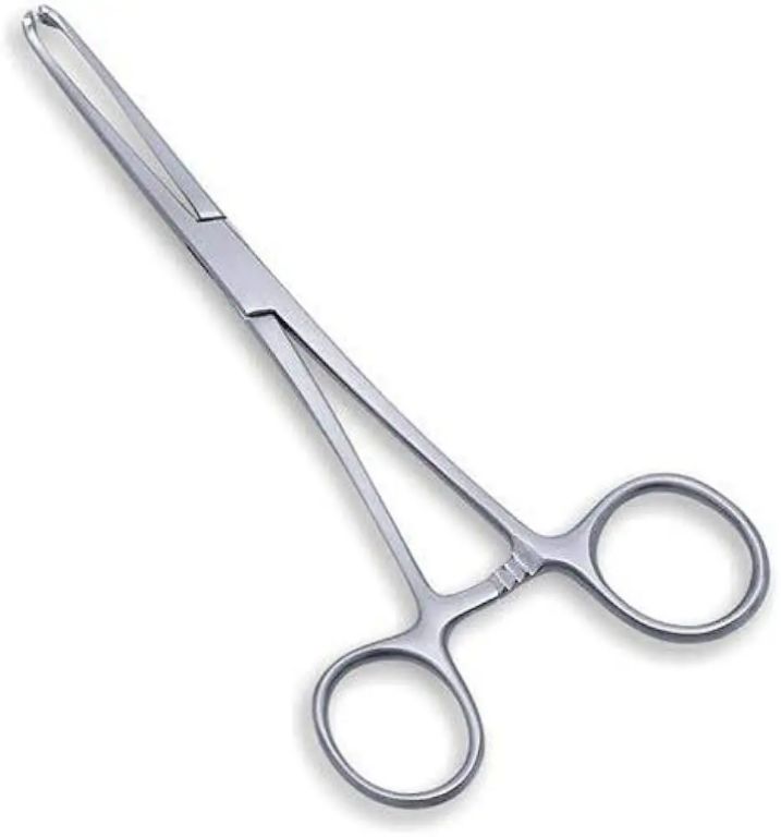 Surgical Grade Allis Tissue Forceps 5×6 Teeth, 160mm by Scantrik