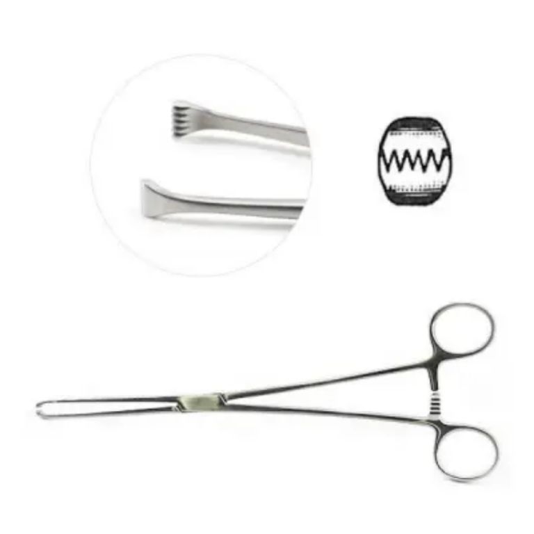 Autoclave Allis Tissue Forceps 5×6 Teeth, 160mm by Scantrik