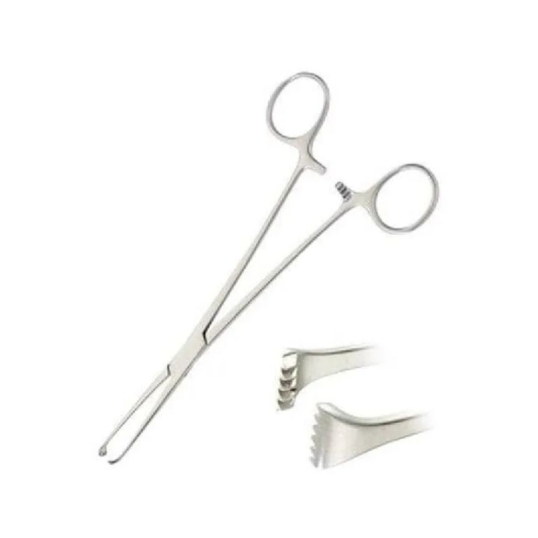 Hospital Allis Tissue Forceps 5×6 Teeth, 160mm by Scantrik