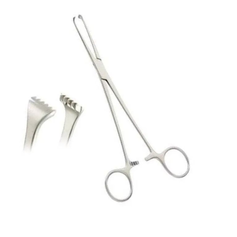 Professional Allis Tissue Forceps 5×6 Teeth, 160mm by Scantrik