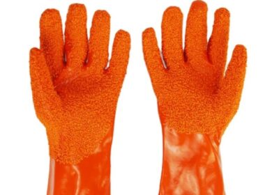 IMG_20250225_35773-1