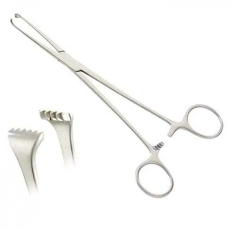 Allis Precision Grip Tissue Forceps 5×6 Teeth, 160mm by Scantrik