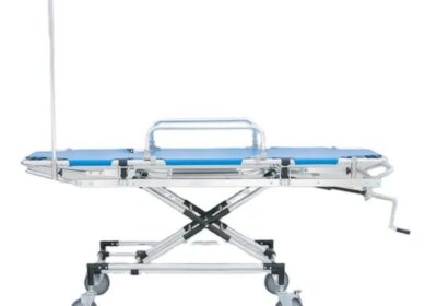 IMG_20250225_4779
