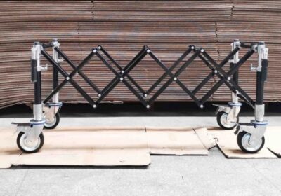 IMG_20250226_52357-1